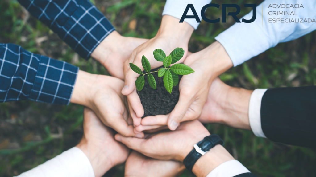 advogado para crimes ambientais