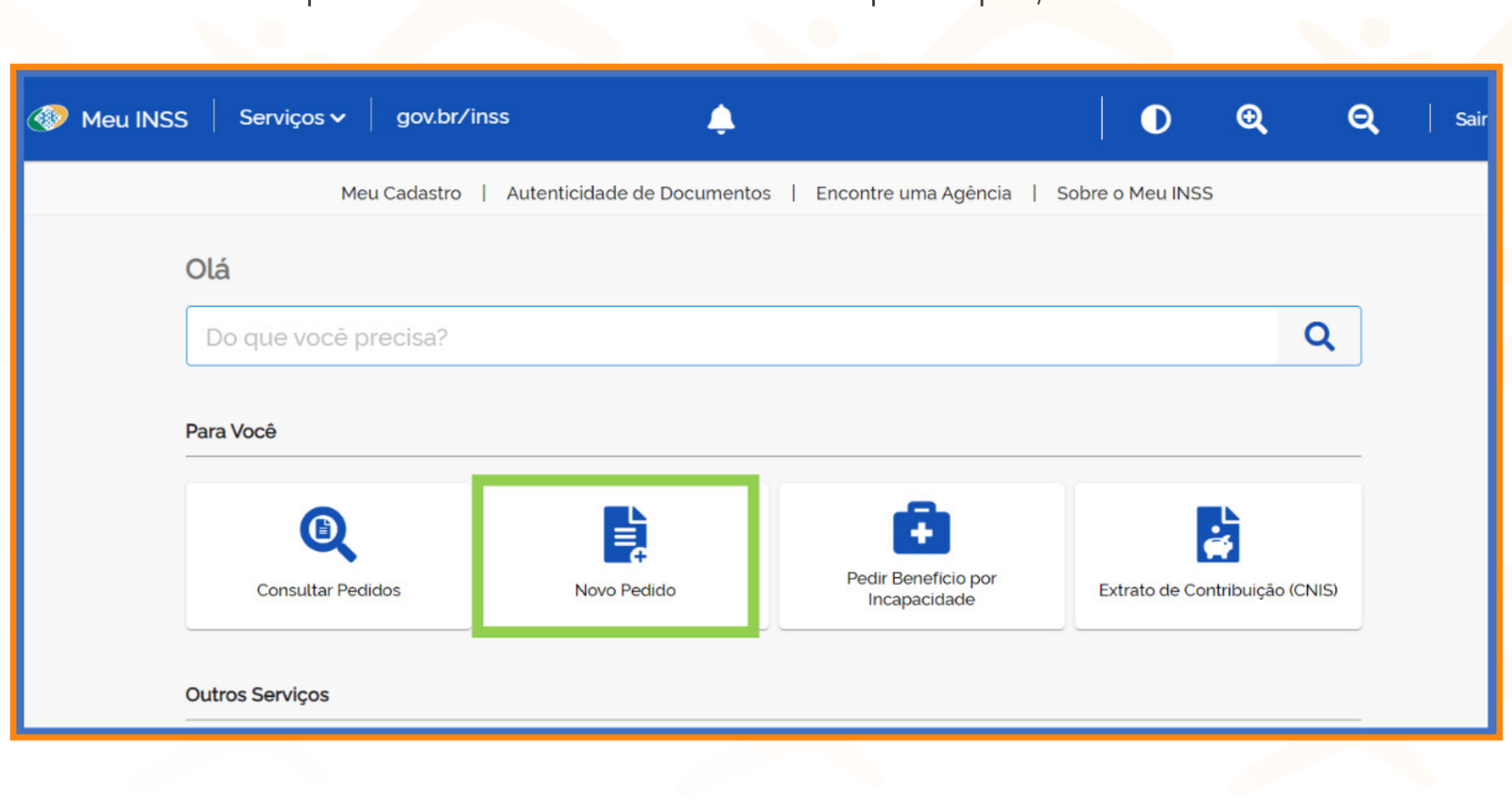 Tela inicial do Meu INSS com o botão "Novo Pedido" em destaque
